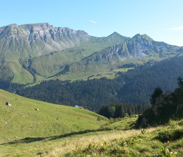 Alpes Équitation à Morzine Haute-Savoie