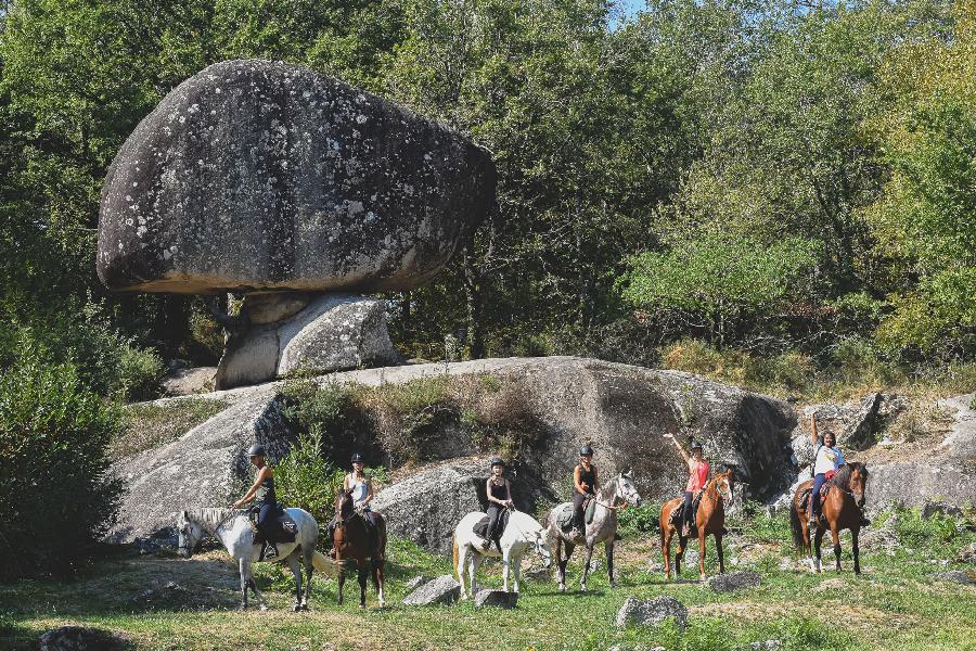 Gite equestre cheval Brassac dans le Tarn PNR du Haut-Languedoc photo 6