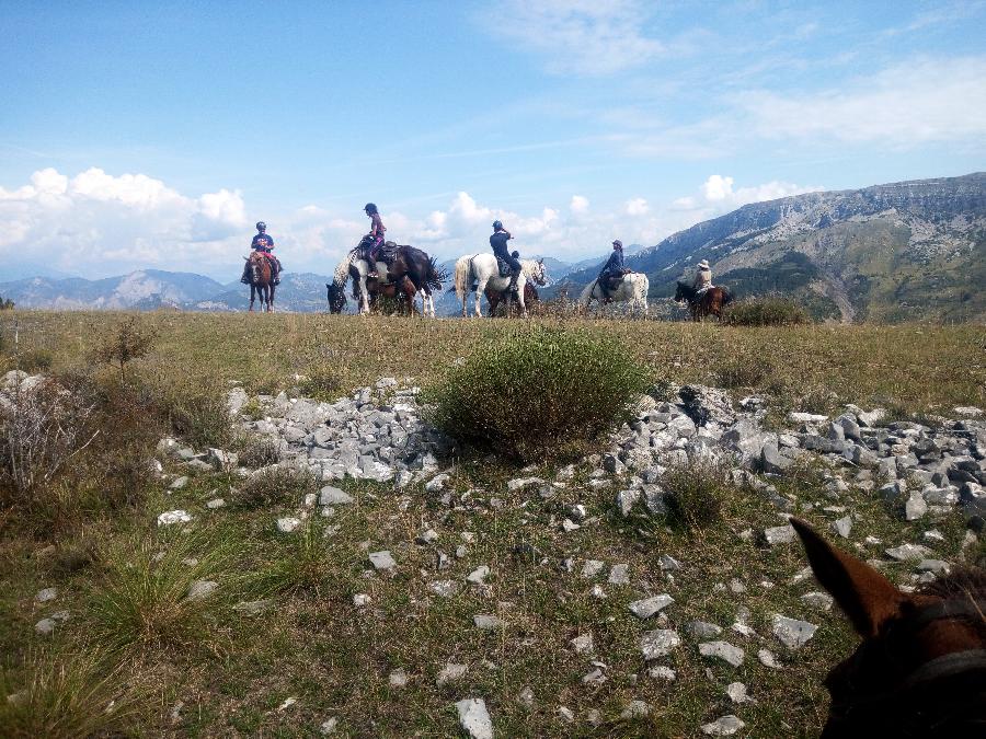 Pension cheval Saint-Geniez dans les Alpes de Haute-Provence Provence