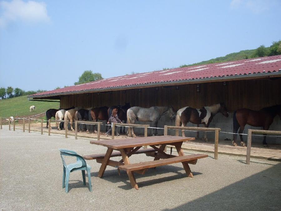 Pension cheval Nanton en Saône-et-Loire  photo 4