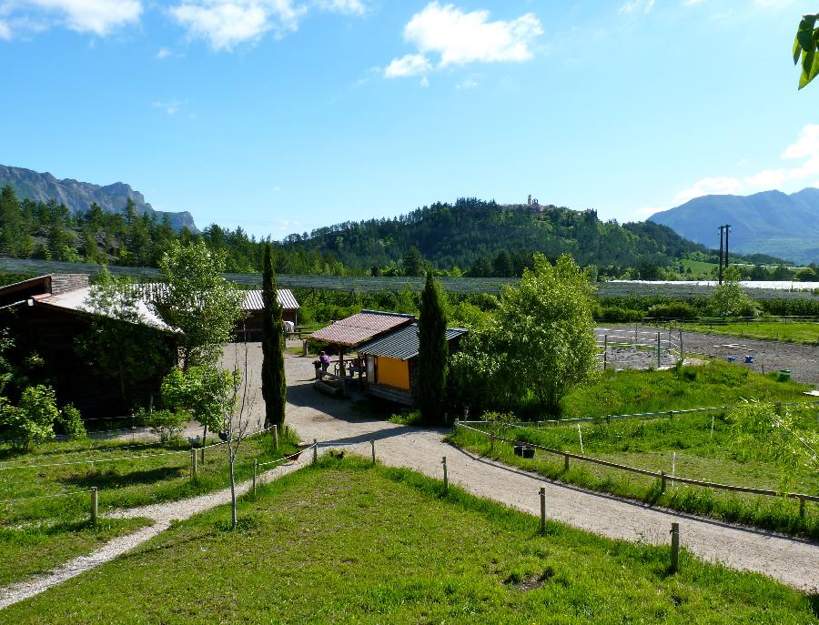 pension cheval à Ventavon Hautes-Alpes Pays du Buëch