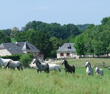 Ferme Equestre de Mialaret à Camps-Saint-Mathurin Corrèze